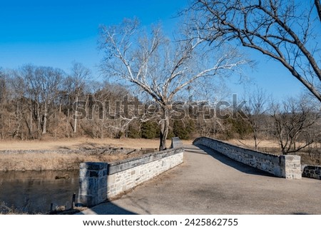 The Burnside Sycamore on a Winter Afternoon, Antietam National Battlefield, Maryland USA Royalty-Free Stock Photo #2425862755