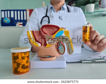 A male urinary system model is on a table next to a prescription and two bottles of pills. The model shows the bladder, kidneys, ureters, and urethra. The image is well-lit and in focus. Royalty-Free Stock Photo #2425875771