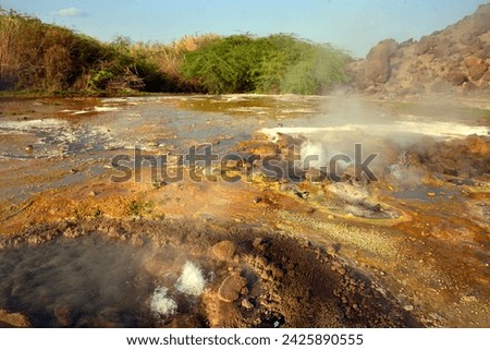 
Springs in the Danakil's desert depression Royalty-Free Stock Photo #2425890555