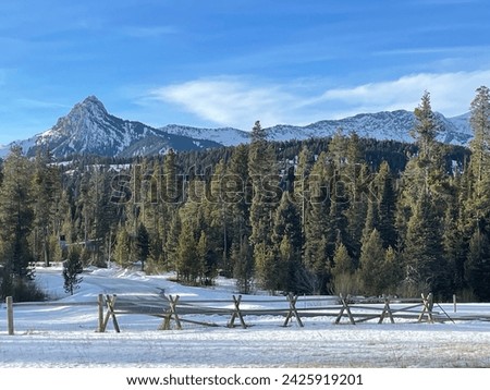 Winter mountain landscape with split rail fence along the road, row of evergreen trees and beautiful mountain peak in the distance Royalty-Free Stock Photo #2425919201