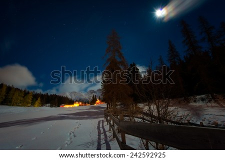 Houses in the snow on a starry night with the moon