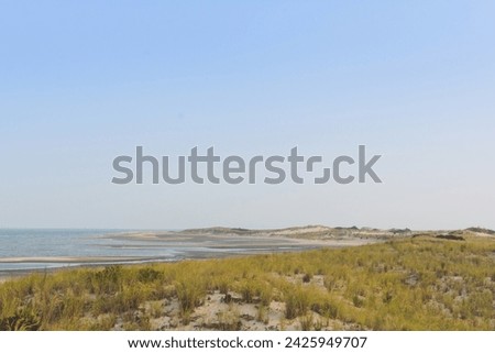 View of ocean and sand dunes at Cape Henelopen State Park in Delaware. Royalty-Free Stock Photo #2425949707