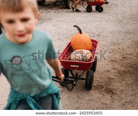 Child pulling pumpkins in a wagon at a pumpkin patch