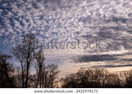 Moody evening sky with dramatic clouds over tree silhouette