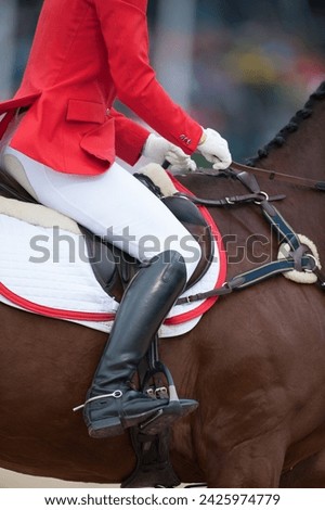 close up cropped photo of show jumper rider on horse in jumpign competition wearing horse show attire red jumper jacket wehote breeches and tall black boots foot in stirrup spur white gloves hands  Royalty-Free Stock Photo #2425974779