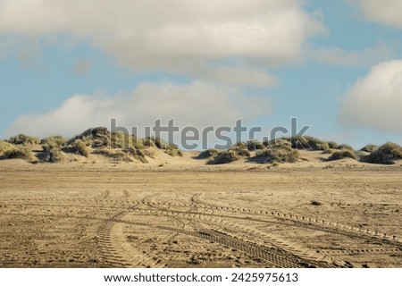 sandy landscape with tire tracks imprinted on it. In the background, there are sand dunes covered with some vegetation under a partly cloudy sky. Royalty-Free Stock Photo #2425975613