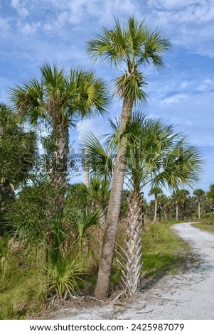 Scenery along hiking trail at Manatee Viewing Center