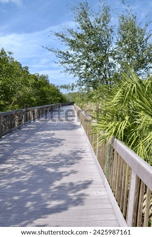 Scenery along hiking trail at Manatee Viewing Center