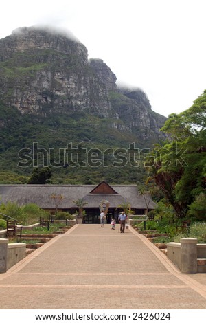 Picture take at Kirstenbosch National Botanical Garden in Cape Town, South Africa