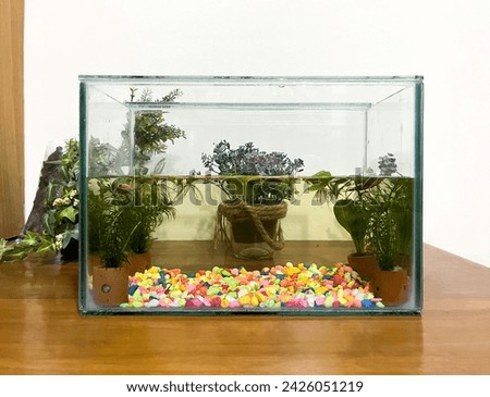 Small siamese fighting fish or ikan cupang fish tank with colorful stones, potted aquatic plants, and floating plants inside clear glass aquarium on top of wooden table and plant decor background.