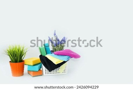 Accessories for cleaning the house: bright multi-colored sponges and cloths for washing windows and dishes.  On a white background on the table are indoor flowers and additional cleaning items.