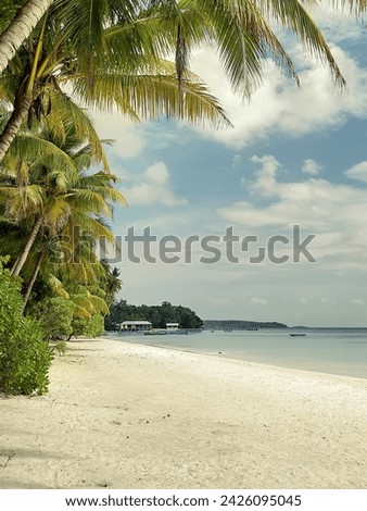 Experience the ultimate tropical paradise with our stunning image of a white sandy beach with palm trees. This captivating scene captures the essence of relaxation and tranquility.
