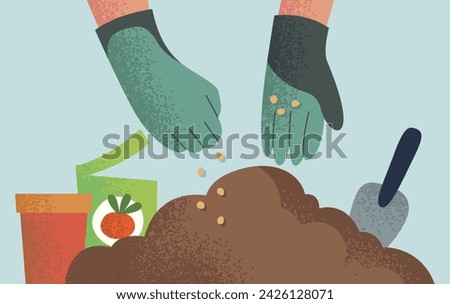 seed into the soil illustration