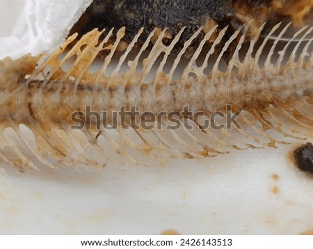 nice and neat textured fish bones