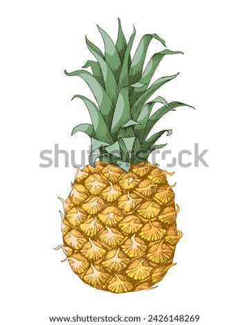 Hand drawn colorful pineapple fruit