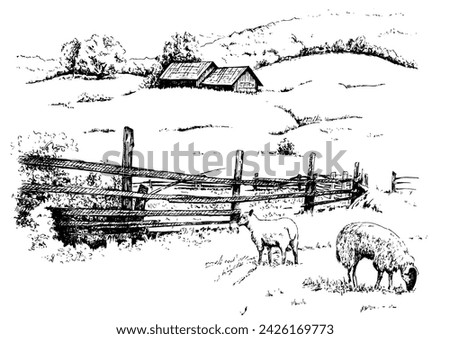 Green grass field on small hills. Meadow, alkali, lye, grassland, pommel, lea, pasturage, farm. Rural scenery landscape panorama of countryside pastures. Vector sketch illustration
 Royalty-Free Stock Photo #2426169773