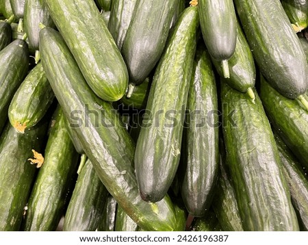 Macro photo green fresh cucumber. Stock photo vegetable cucumbers background Royalty-Free Stock Photo #2426196387