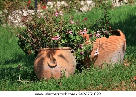 Traditional clay jars in a Lebanese garden with flowers inside.