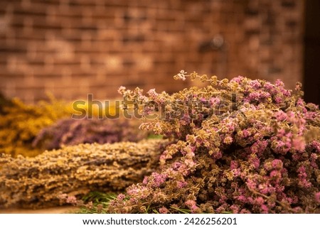 A scattering of natural herbs in the hands of a master who creates magic brooms for the bath. Their fragrance will fill the space of coziness and tranquility, adding relaxation and well-being to you. Royalty-Free Stock Photo #2426256201