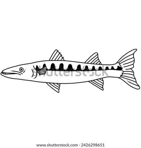 Fish Line Art Illustration and Clipart