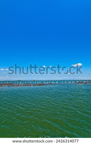 Venice Italy lagune view of the barena where the fresh water and sea water mix 