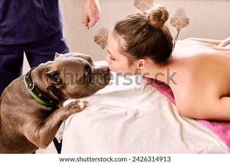 An American bully dog came into massage parlor while young woman was having massage. Royalty-Free Stock Photo #2426314913