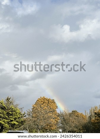 Sky view with a rainbow over some trees 