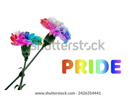 A picture of two rainbow-colored carnations set against a background featuring the word Pride.