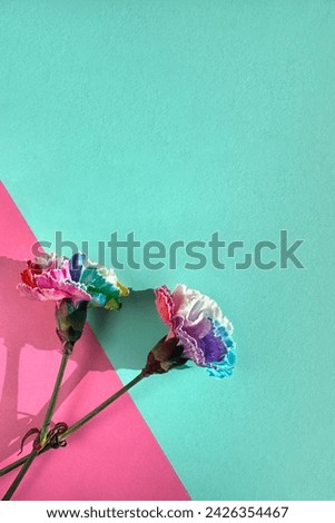 A photo featuring a couple of rainbow colored carnations sitting on top of a pink and blue mint colored paper with copy-space, symbolizing freedom, peace, and LGBTQ pride.