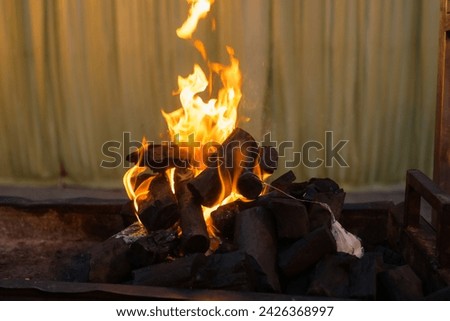 bone fire coal good great picture 