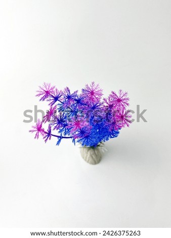 Aquarium fish tank vegetation interior decoration. Artificial fake purple and blue plastic plants with vibrant colors. Object photography isolated on white studio background.