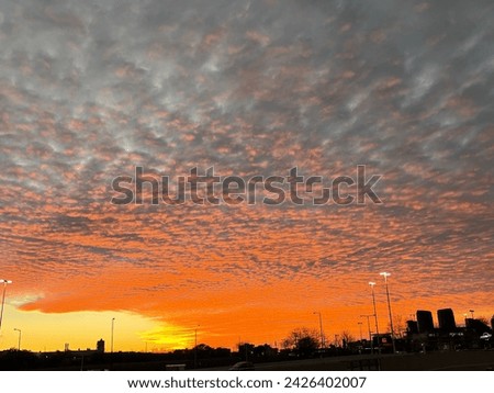 Beautiful evening orange sky picture