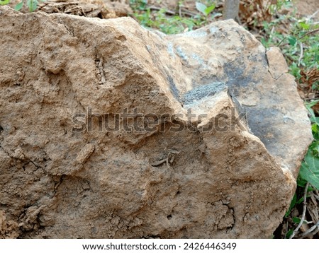rock isolated on experience background.
