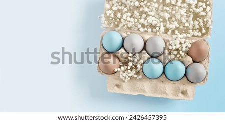 Easter Egg Assortment in Carton with White Baby's Breath on Light Blue Background. Pastel colored dyed eggs in package, spring holiday photo, tender soft hues, celebration food and white flowers