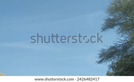 This is image  for good beautiful weather and tree 