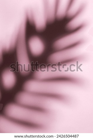 Shadows from palm leaves on a light pink  background. 
