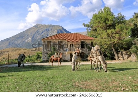 some Horses Standing in Front of a House