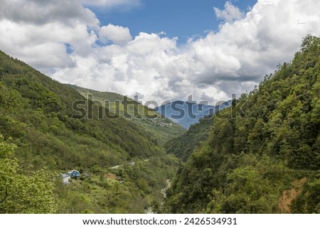 High mountains slopes covered in thick virgin forest and shrouded in cloud near the small village of senge near tawang in western arunachal pradesh, India. Royalty-Free Stock Photo #2426534931