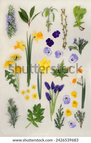 Spring flowers and herbs large collection on natural hemp paper background. Seasonal nature floral and fauna composition. Ingredients for alternative herbal medicine remedies.