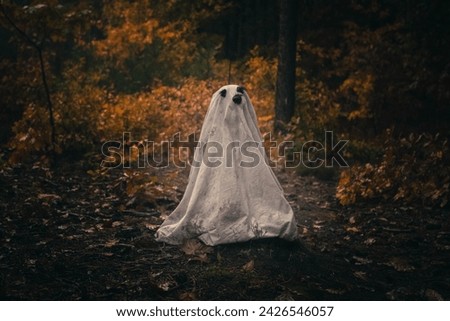 Dog in a ghost costume for Halloween, dark and creepy forest scenery with foggy background