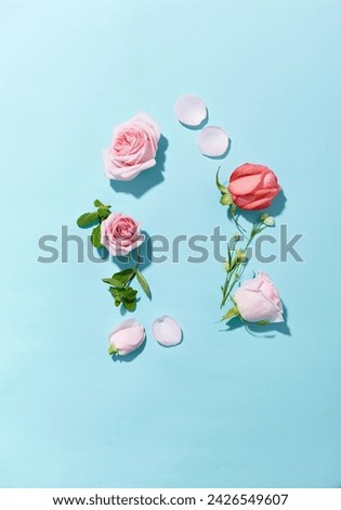 a beautiful spring flowers against a light blue paper background. top view. An empty space for display cosmetic products, food and props.