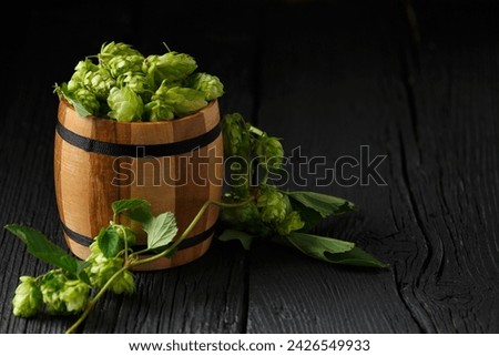 Green hops in a wooden barrel and a branch of hops on a black wooden background, copy space. Brewing traditions. Oktoberfest. Beer Festival. St.Patrick 's Day