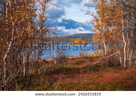 Lake in Lapland, Finland during Fall session with colourful leaves