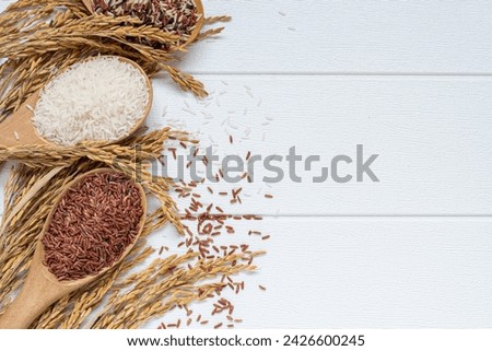 Dry organic rice seed collection in wooden spoon with rice ears on white wooden table background. For clean food ingredient and agricultural product concept Royalty-Free Stock Photo #2426600245