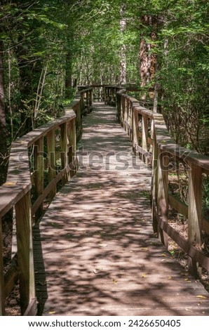 Boardwalk Trail at Congaree National Park in central South Carolina, USA
