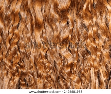 Texture of curly red hair. Stock photo of women's hairstyles in best quality.
