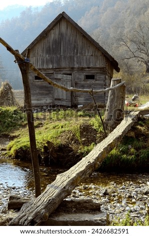 abandoned old wooden house and  a wooden bridge over a small crick