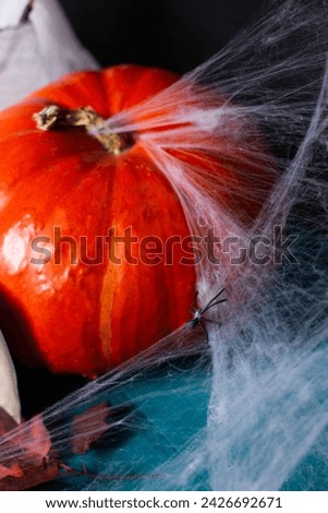 Pumpkin with web and festive decorations for Halloween