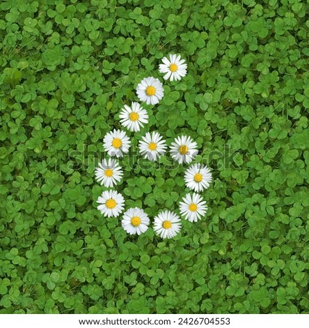 number written with daisies (bellis perennis) on green clover Royalty-Free Stock Photo #2426704553