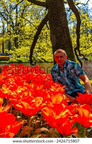 Man tourist with tulip flowers in park in Keukenhof Lisse South Holland Netherlands Holland in Europe.